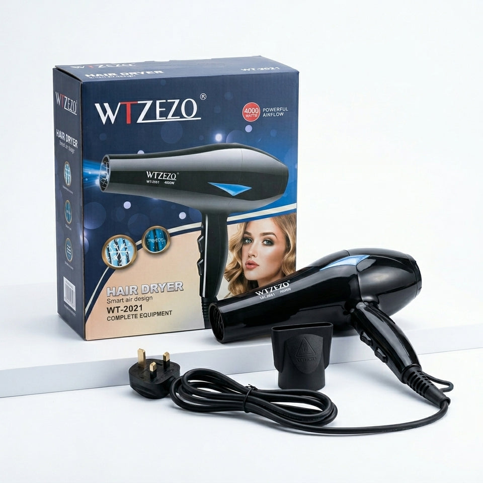 WT-2021 WTZEZO Salon Hair Dryer