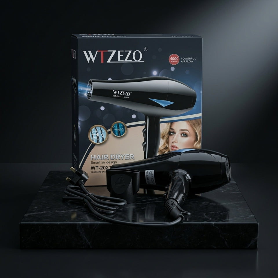 WT-2021 WTZEZO Salon Hair Dryer